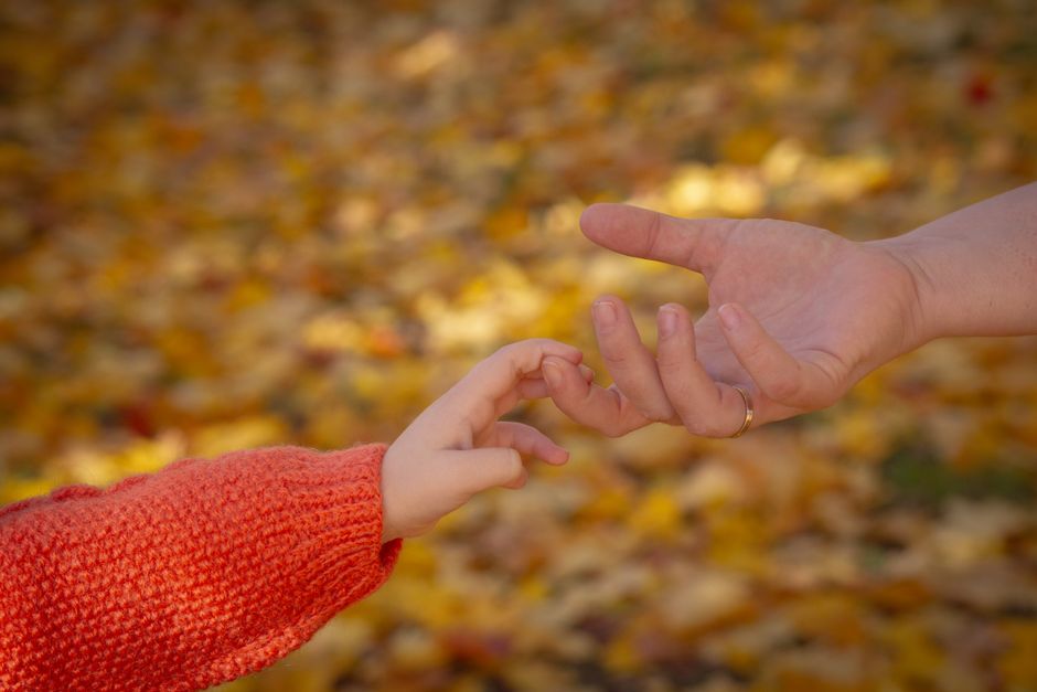 Main d'enfant et main d'adulte qui se cherchent, évoquant le lien d'attachement